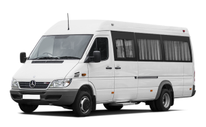 Mercedes-Benz Sprinter I (W901) (313) (2000 - 2006) Передние коврики